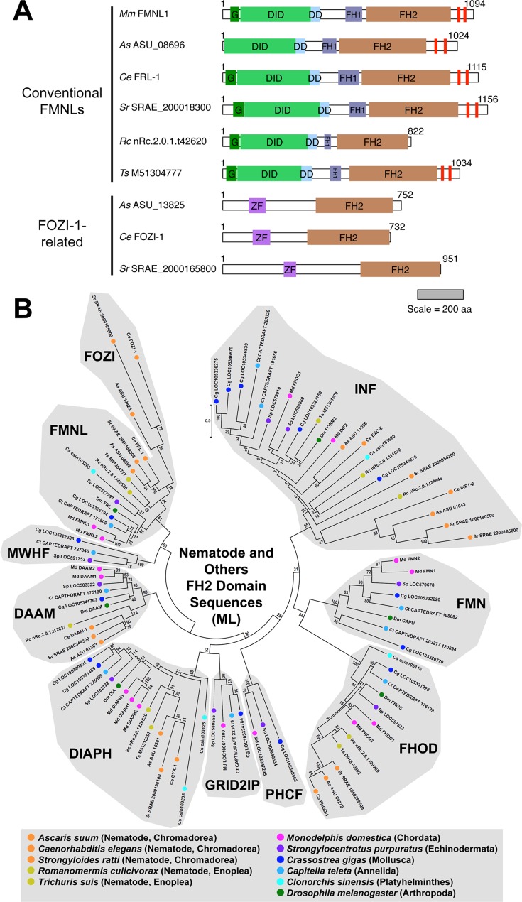 Fig 5