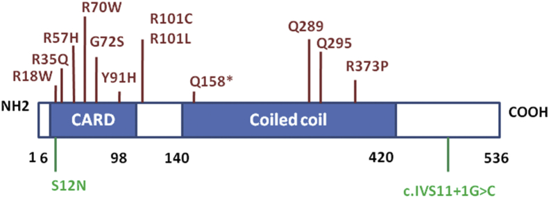 Fig. 1