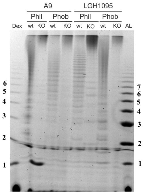 FIG. 5.