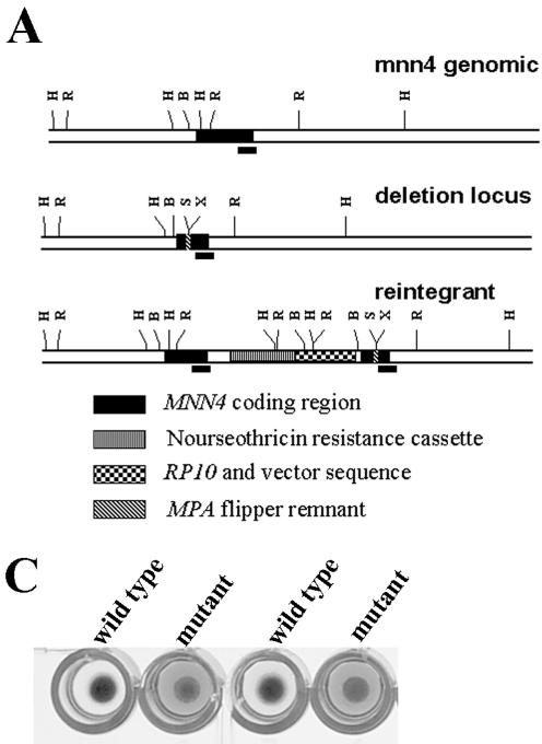 FIG. 2.