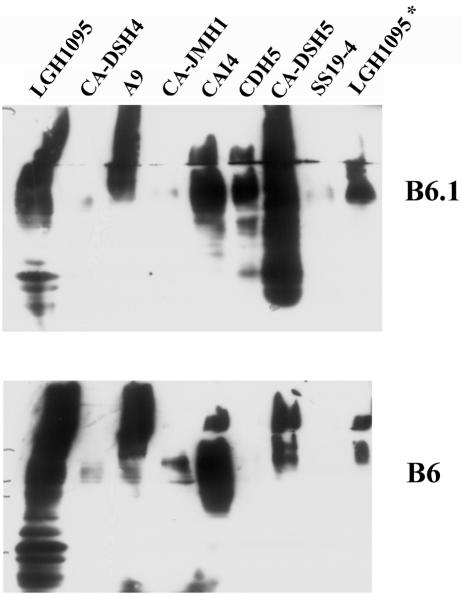 FIG. 3.