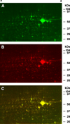 Fig.2