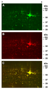 Fig.1