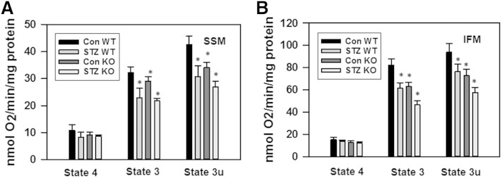 Fig. 10.