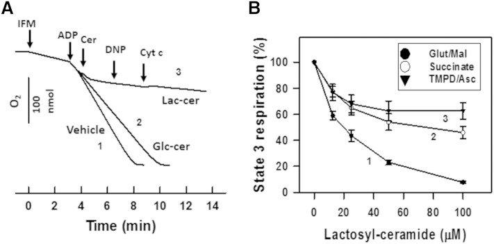 Fig. 12.