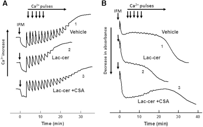 Fig. 13.