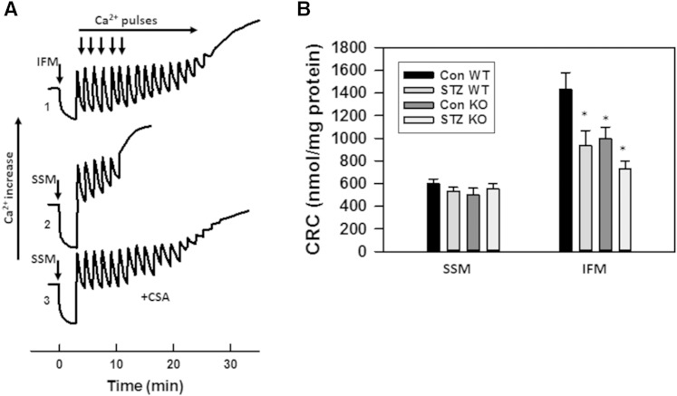 Fig. 11.