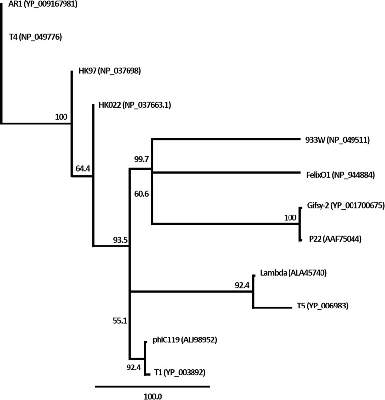 Figure 5