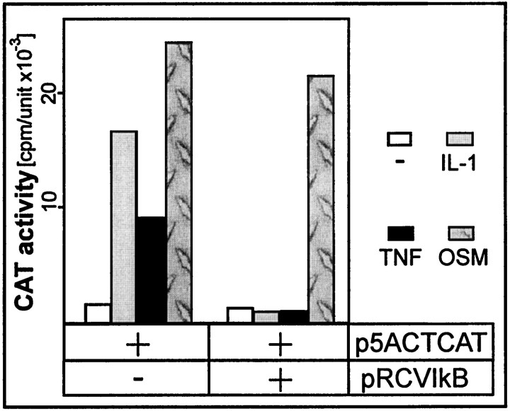 Fig. 9.