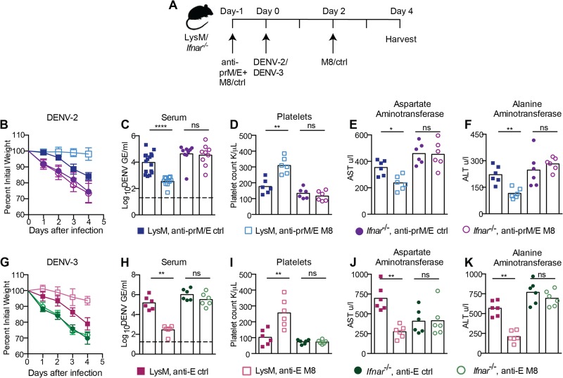 FIG 6 