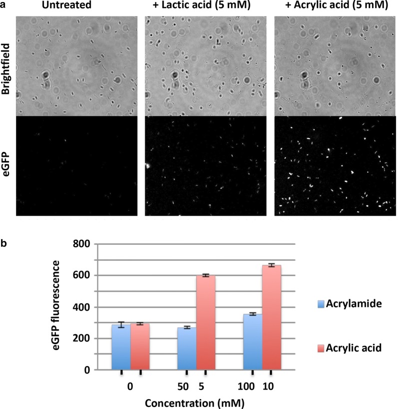 Fig. 4