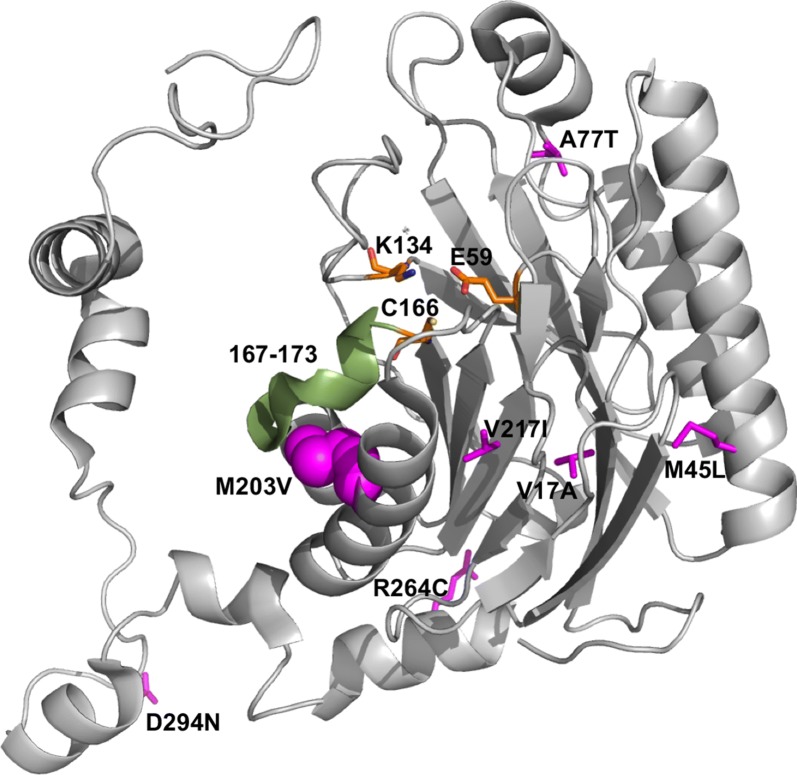 Fig. 7