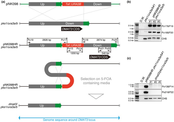 Figure 6