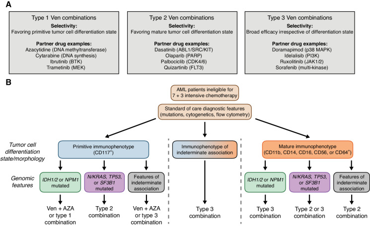 Figure 7. Prioritizing venetoclax-based combination therapy for AML. A, Categories of venetoclax-inclusive combination selectivity from this study. Select combination partner drugs representing FDA-approved agents and their canonical targets are shown. Complete annotations for all tested combinations in this study, along with their type 1, 2, and 3 designations, are provided in Supplementary Table S1. B, Decision scheme for optimizing therapeutic application of Ven + azacytidine and other venetoclax-combination strategies based on standard clinical immunophenotype/differentiation state and mutation features. Ex vivo combination sensitivity data were expressed as z-scores relative to the mean AUC value for each combination to account for differences in overall potency. Scaled sensitivity data were grouped by combination type and then further aligned based on the presence of the indicated clinical immunophenotype and genomic features to optimize patient sample subgroup activity. Given Ven + azacytidine is the standard of care for patients who are ineligible for 7 + 3 chemotherapy, it may be that alternate type combinations or partner drugs added to a backbone of Ven + azacytidine as a triplet may offer improved responses.