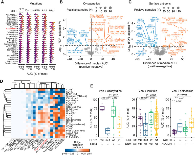 Figure 4. Clinical and genetic features map to associations with combination sensitivity. A, Ridge density plots of venetoclax (Ven) combination sensitivity differences with respect to indicated gene mutations. Color gradients indicate AUC-based ex vivo sensitivity (dark blue/purple) through resistance (orange/yellow). Max, maximum. B and C, Volcano plots showing a comparison of Ven combination sensitivity differences with respect to recurrent cytogenetic rearrangements (B) and immunophenotype surface markers (C). Negative and positive tails of each plot correspond to significantly increased (blue) and decreased sensitivity (orange), respectively, in samples positive for the tested feature. Size of each point represents the number of samples in the comparison that were positive for the tested feature for the given combination. The difference in median AUC was computed by the Hodges–Lehmann; P values were determined by Mann–Whitney tests and corrected for false discovery using the Benjamini–Hochberg method. D, Clustered heat map of multivariate ridge regression coefficient estimates for clinical and genetic feature associations with ex vivo combination sensitivity among newly diagnosed AML patient specimens. Blue and orange shading corresponds to associations of the indicated feature with sensitivity and resistance, respectively, for the corresponding combination. Feature panels and combinations included reflect limitations involving sample numbers and model requirements for minimizing missing data for analysis. E, Bivariate subgroup stratification of ex vivo sensitivity for select Ven combinations for indicated features. Combination AUC was compared across subgroups by the Kruskal–Wallis test; post-hoc pairwise Mann–Whitney tests were performed, with FWER-adjusted P values shown. Abbreviations: mut, mutated; wt, wild-type.