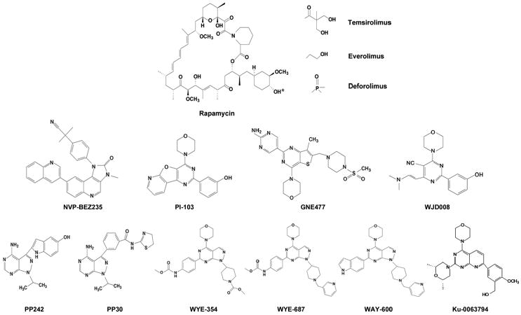 Fig. (2)