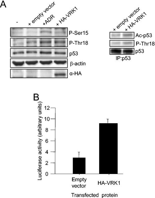 FIG. 7.