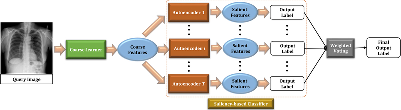 Fig. 1: