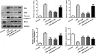 Figure5.