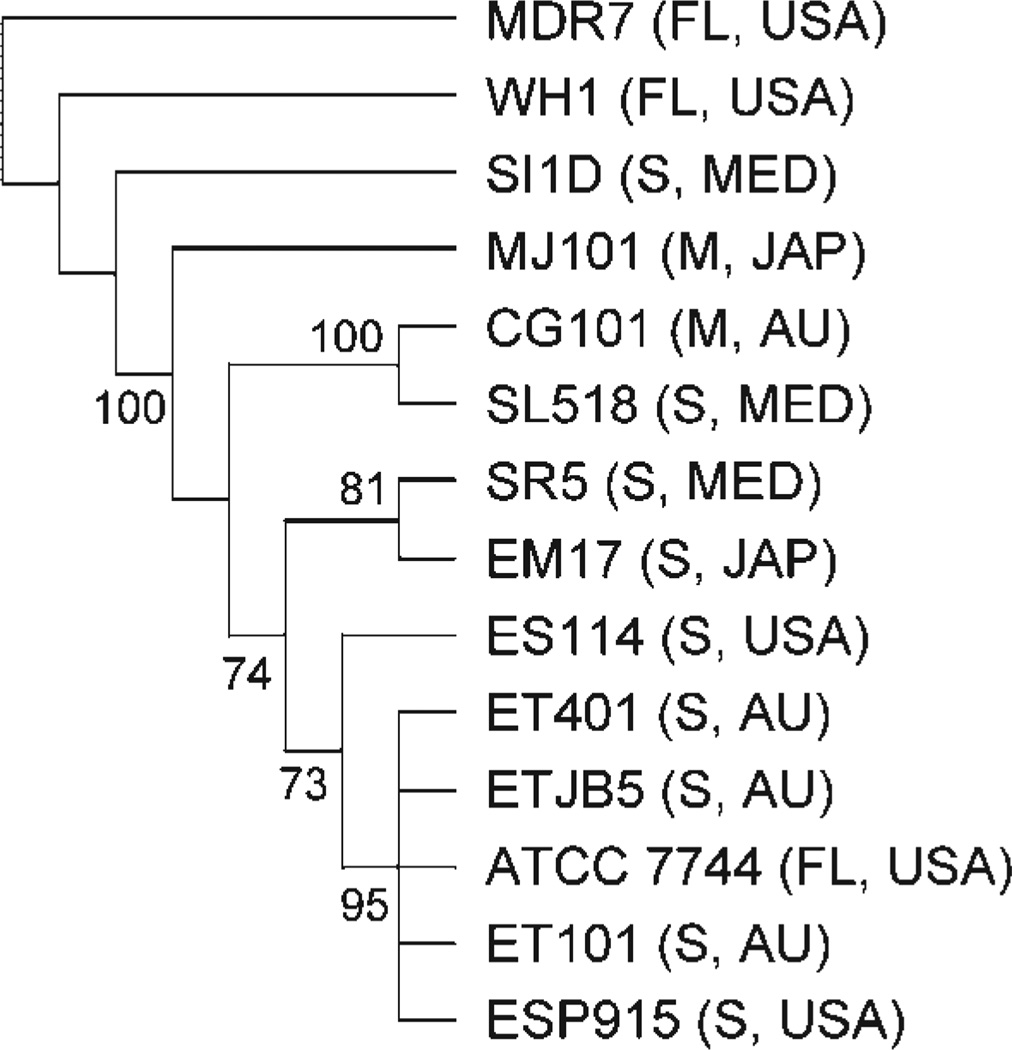 Fig. 4