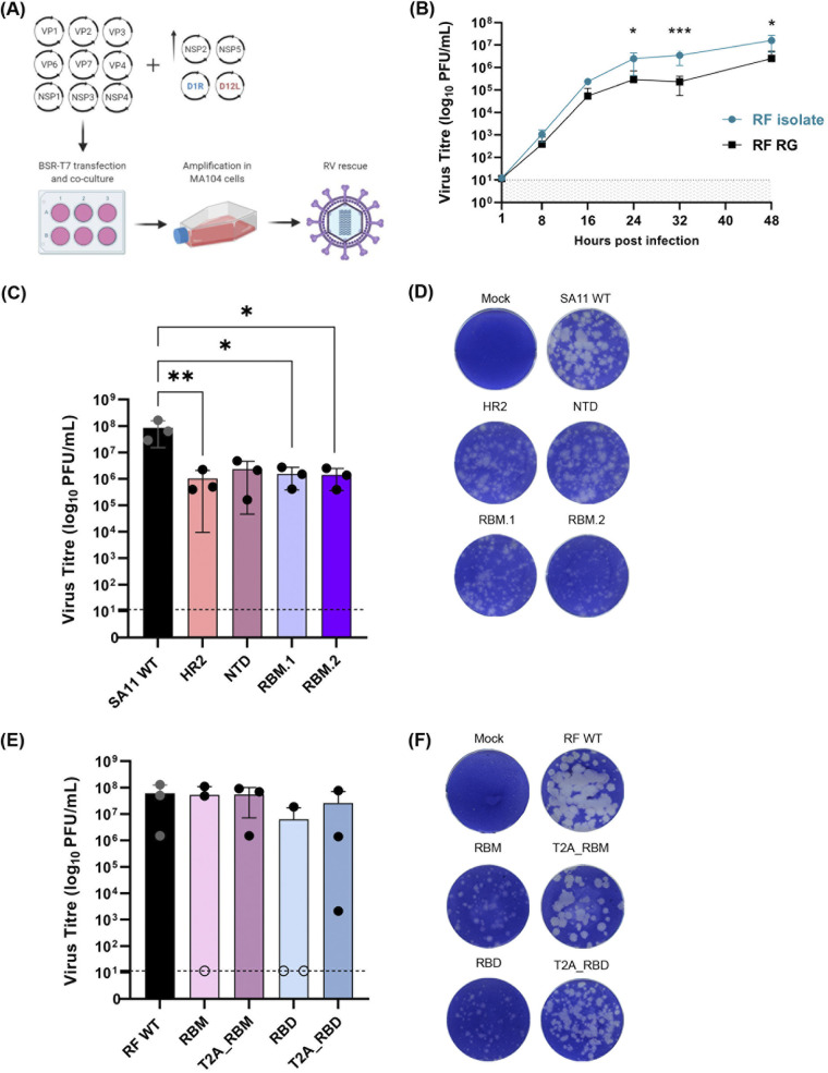 FIG 2