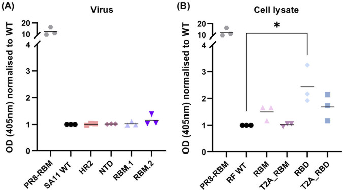 FIG 6