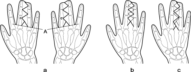 Fig. 3