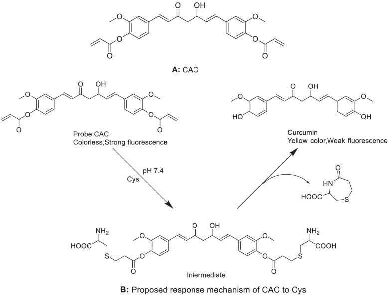 Fig 8