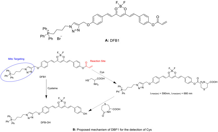 Fig 10