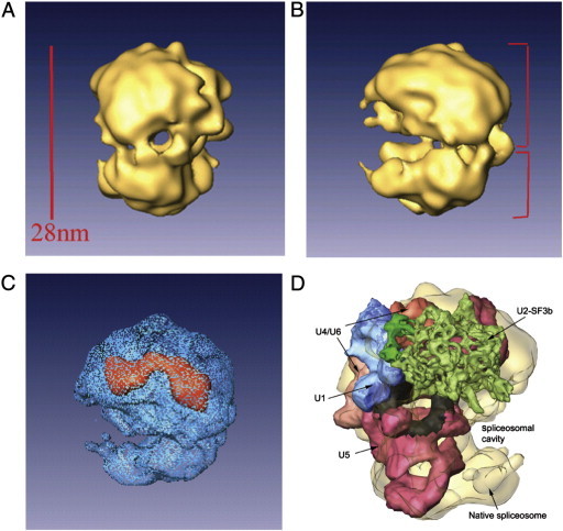 Fig. 2