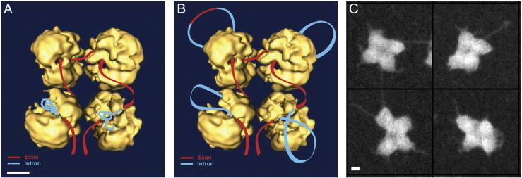 Fig. 3