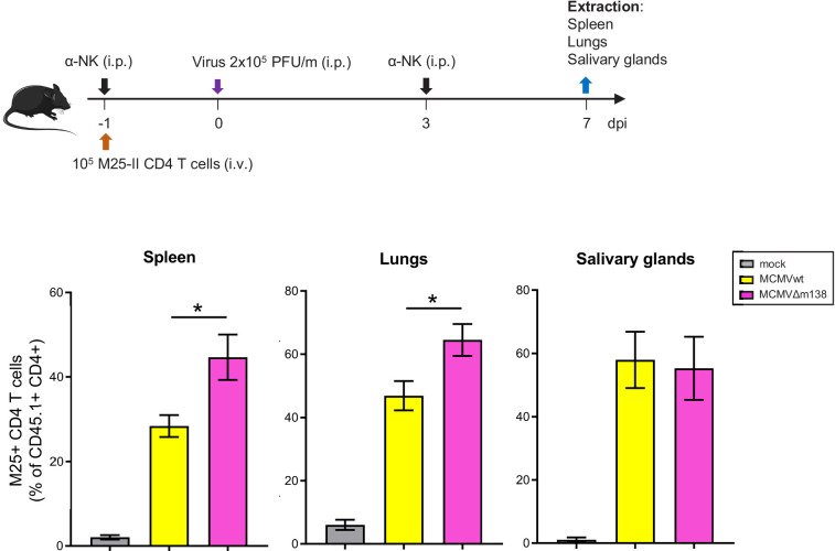 Figure 8—figure supplement 1.