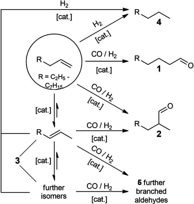 Scheme 2