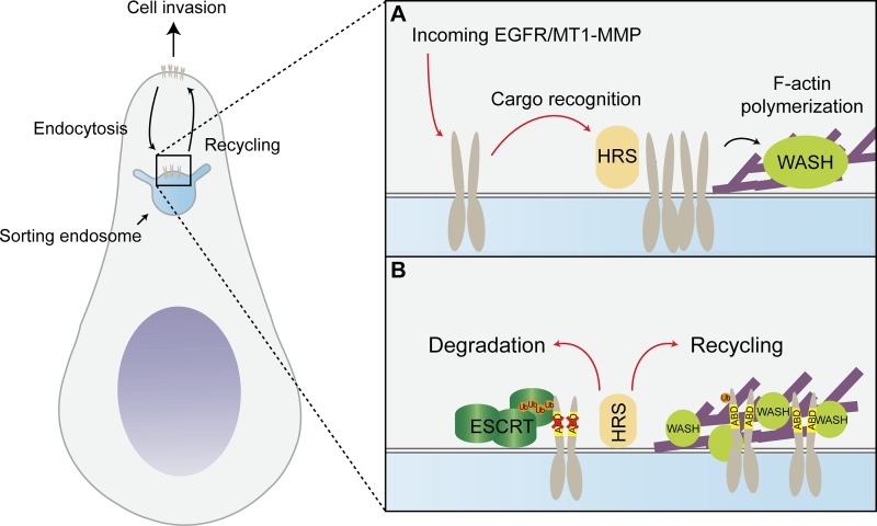 Figure 9.