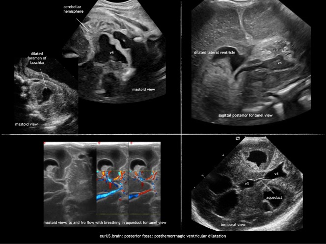 Fig. 8