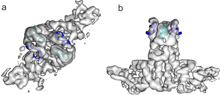 Figure 3—figure supplement 2.