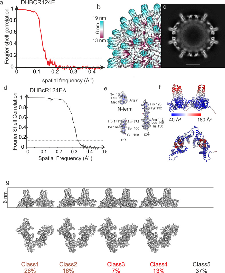 Figure 4—figure supplement 1.