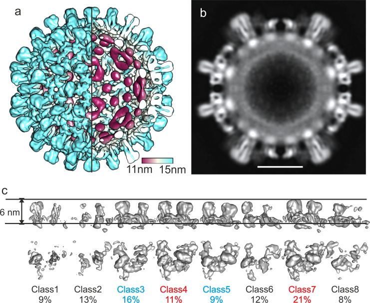 Figure 1—figure supplement 3.