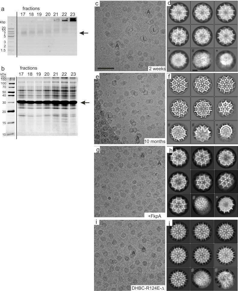 Figure 1—figure supplement 2.