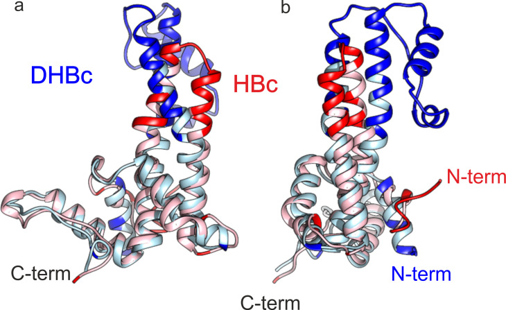 Figure 3—figure supplement 1.