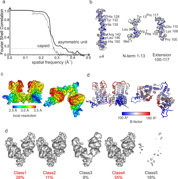 Figure 1—figure supplement 4.