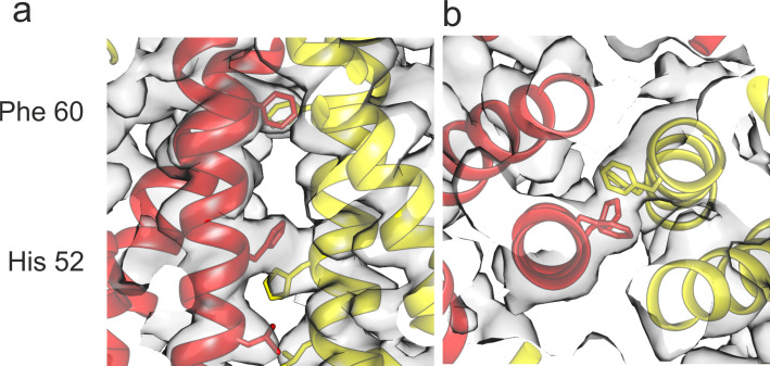 Figure 2—figure supplement 2.