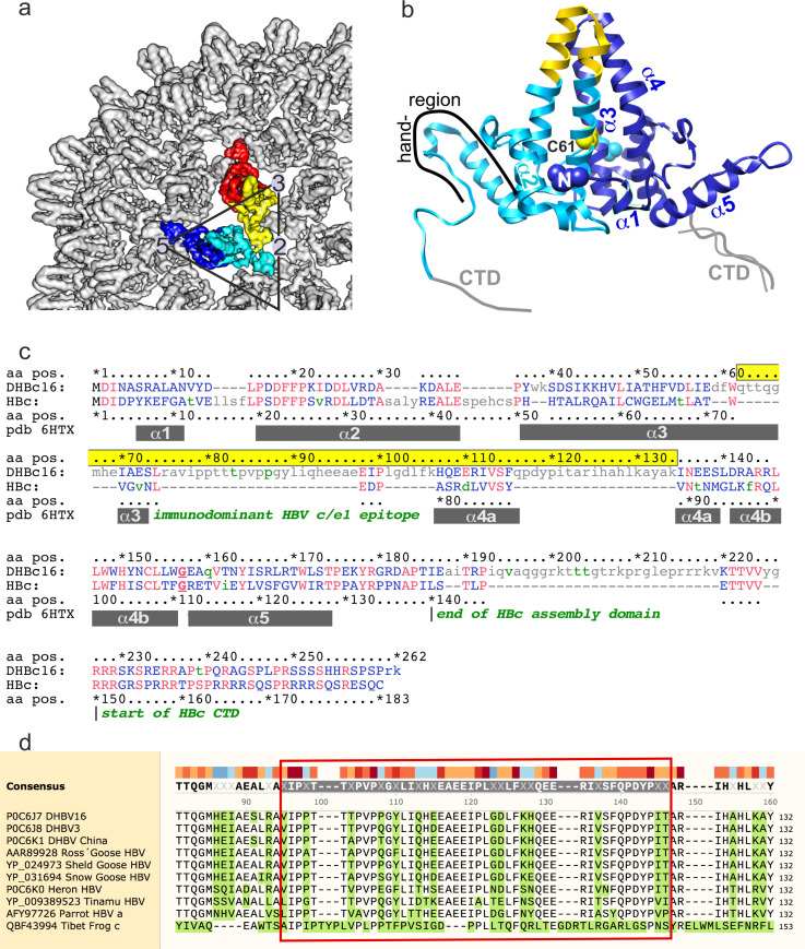 Figure 1—figure supplement 1.