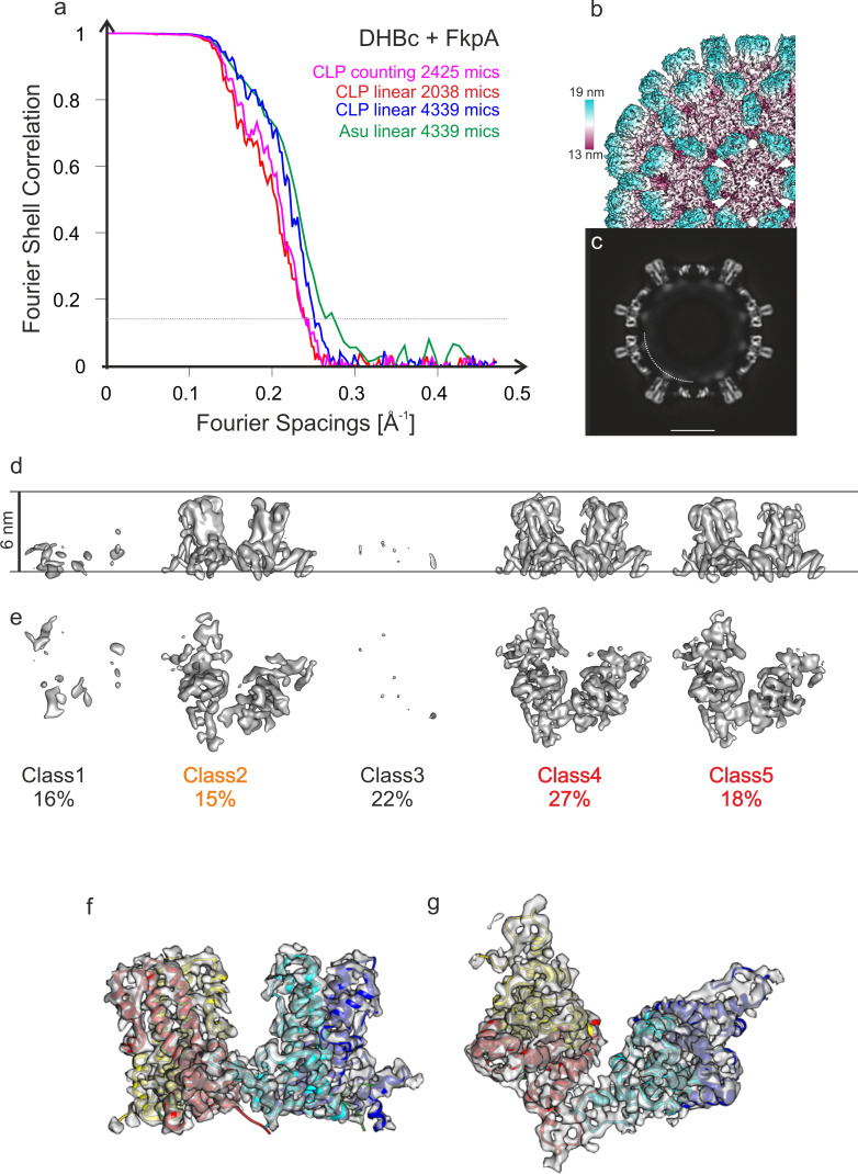 Figure 1—figure supplement 5.