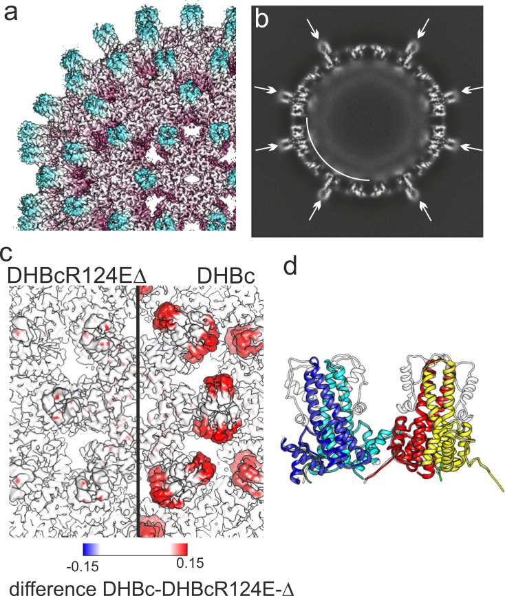 Figure 4.