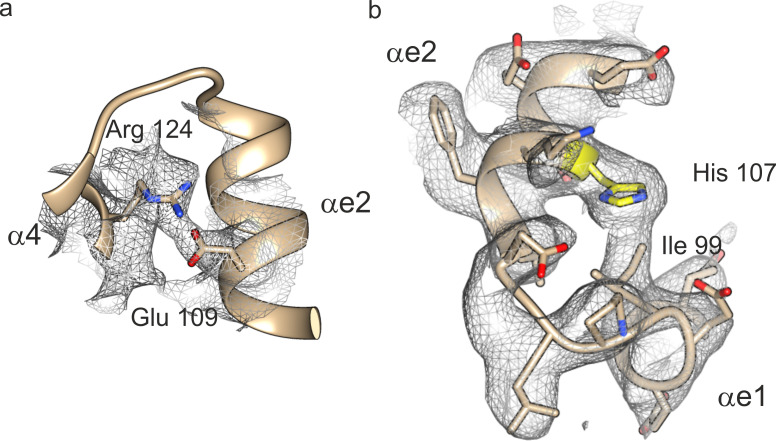 Figure 2—figure supplement 1.