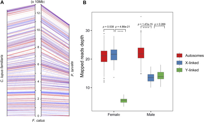 FIGURE 2