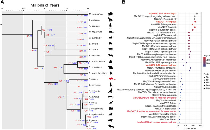 FIGURE 3