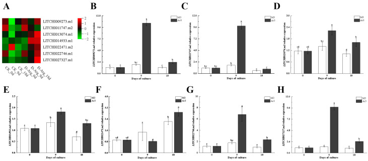 Figure 7