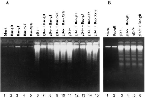 FIG. 7